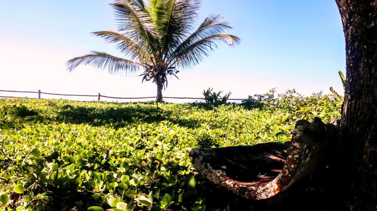 بورتو سيغورو Pousada Da Barra المظهر الخارجي الصورة